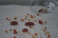 /album/impermeabiliza%c3%a7%c3%a3o/a1306948407-164633789-4-impermeabilizacao-de-estofados-limpeza-de-estofados-lavagem-a-seco-de-sofa-higienizaca-outros-servicos-jpg/